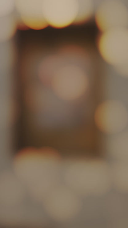 Cartera Modelo Bologna